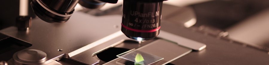 Imprese, Mimit:175 milioni per progetti d’innovazione al Sud